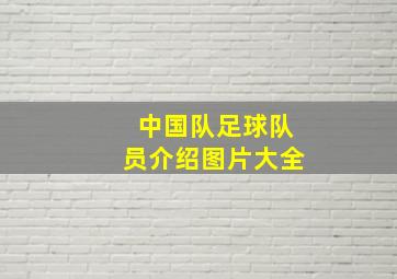 中国队足球队员介绍图片大全