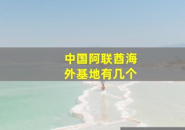 中国阿联酋海外基地有几个