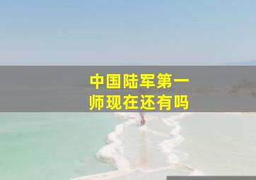 中国陆军第一师现在还有吗