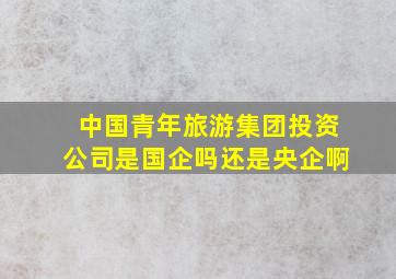 中国青年旅游集团投资公司是国企吗还是央企啊