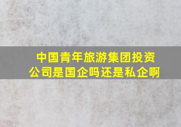 中国青年旅游集团投资公司是国企吗还是私企啊