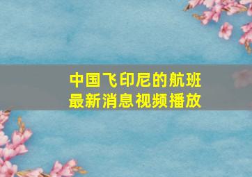 中国飞印尼的航班最新消息视频播放