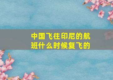 中国飞往印尼的航班什么时候复飞的