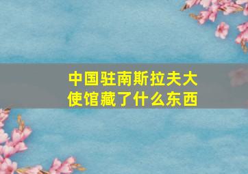 中国驻南斯拉夫大使馆藏了什么东西