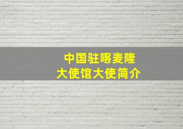 中国驻喀麦隆大使馆大使简介