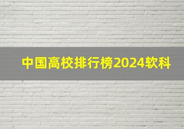 中国高校排行榜2024软科