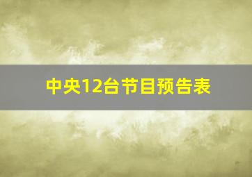 中央12台节目预告表