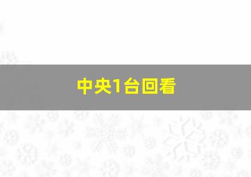 中央1台回看