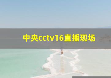 中央cctv16直播现场