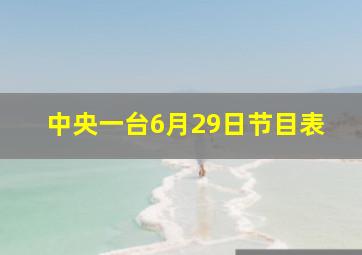 中央一台6月29日节目表