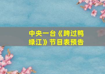 中央一台《跨过鸭绿江》节目表预告