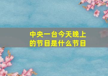 中央一台今天晚上的节目是什么节目