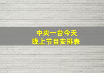 中央一台今天晚上节目安排表