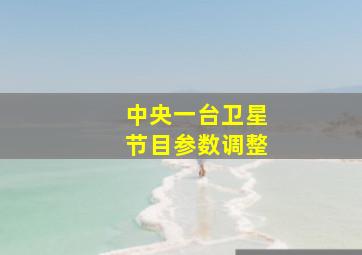 中央一台卫星节目参数调整