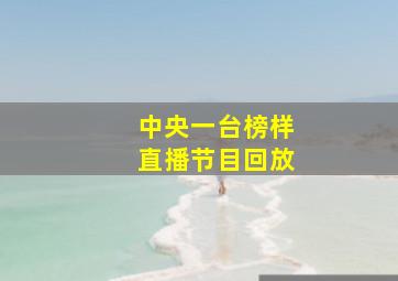 中央一台榜样直播节目回放