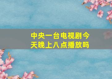 中央一台电视剧今天晚上八点播放吗