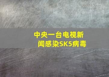 中央一台电视新闻感染SK5病毒