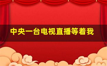 中央一台电视直播等着我