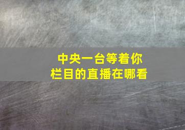 中央一台等着你栏目的直播在哪看