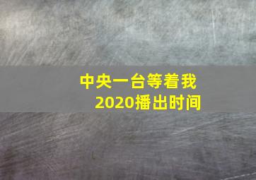 中央一台等着我2020播出时间