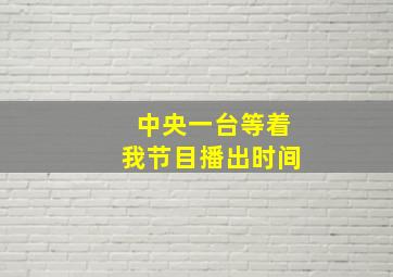 中央一台等着我节目播出时间