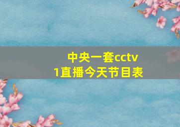 中央一套cctv1直播今天节目表