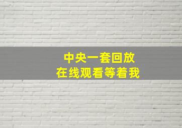 中央一套回放在线观看等着我