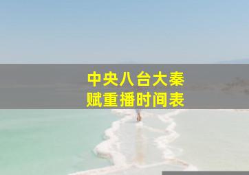 中央八台大秦赋重播时间表