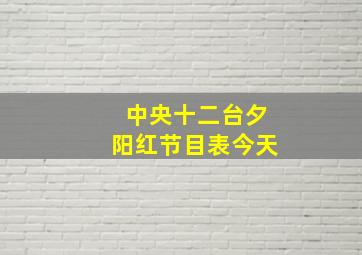 中央十二台夕阳红节目表今天