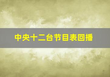 中央十二台节目表回播