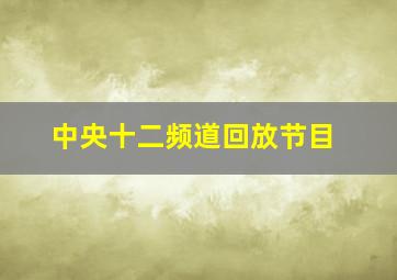 中央十二频道回放节目