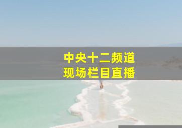 中央十二频道现场栏目直播