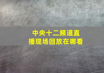 中央十二频道直播现场回放在哪看