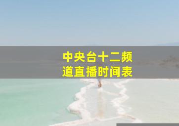 中央台十二频道直播时间表