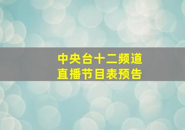 中央台十二频道直播节目表预告