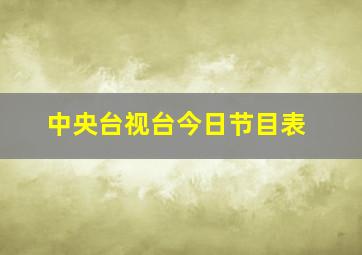 中央台视台今日节目表