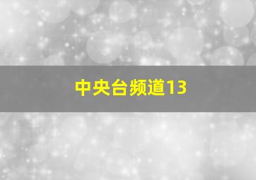 中央台频道13