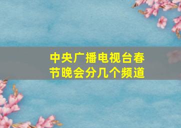 中央广播电视台春节晚会分几个频道