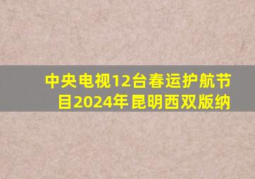 中央电视12台春运护航节目2024年昆明西双版纳