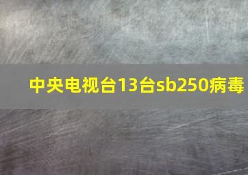 中央电视台13台sb250病毒