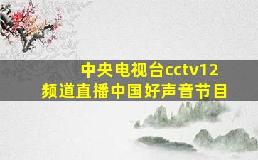 中央电视台cctv12频道直播中国好声音节目