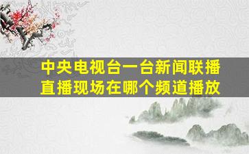 中央电视台一台新闻联播直播现场在哪个频道播放