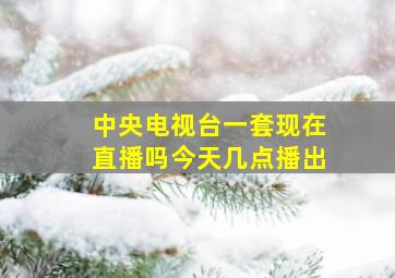 中央电视台一套现在直播吗今天几点播出