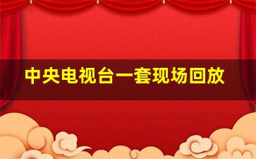 中央电视台一套现场回放