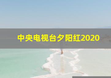 中央电视台夕阳红2020