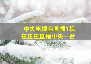 中央电视台直播1现在正在直播中央一台