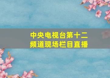 中央电视台第十二频道现场栏目直播