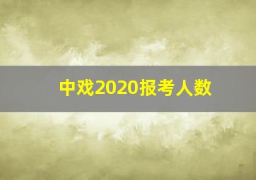 中戏2020报考人数