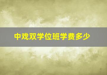 中戏双学位班学费多少