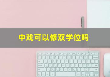 中戏可以修双学位吗